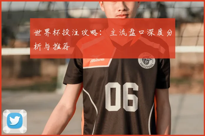 世界杯投注攻略：主流盘口深度分析与推荐
