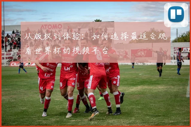 从版权到体验：如何选择最适合观看世界杯的视频平台