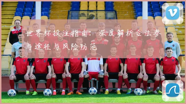 世界杯投注指南：深度解析合法参与途径与风险防范