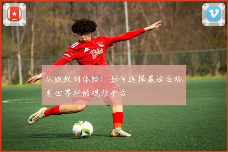 从版权到体验：如何选择最适合观看世界杯的视频平台